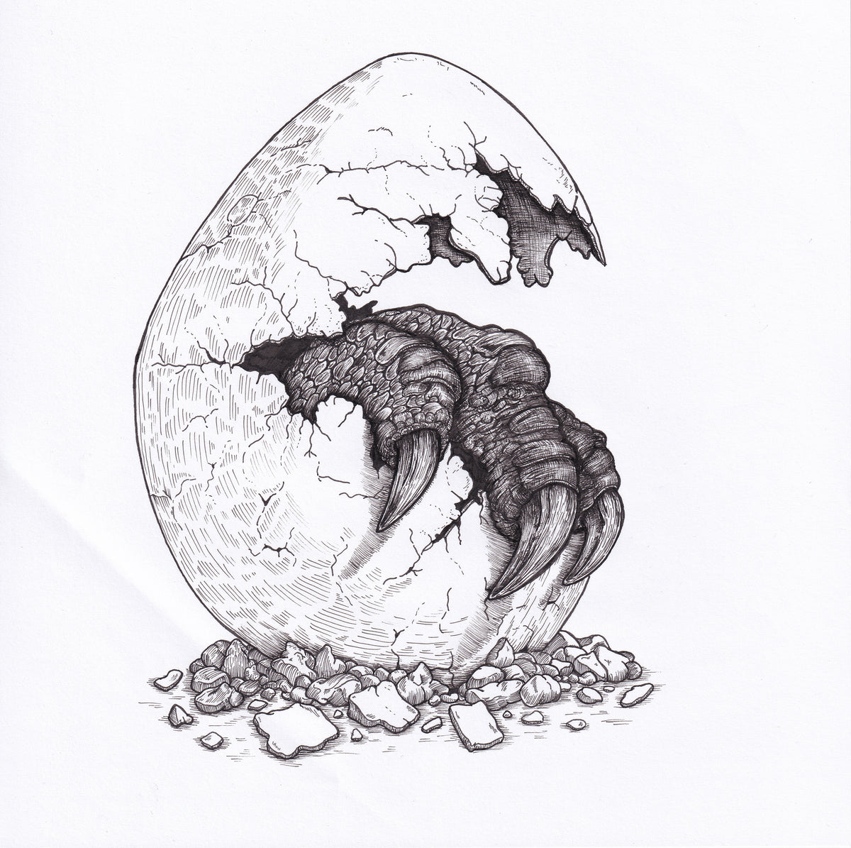 Hatching